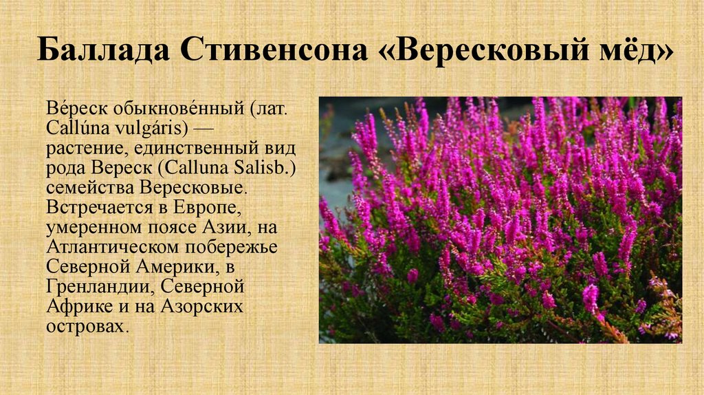 Баллада Стивенсона «Вересковый мёд»