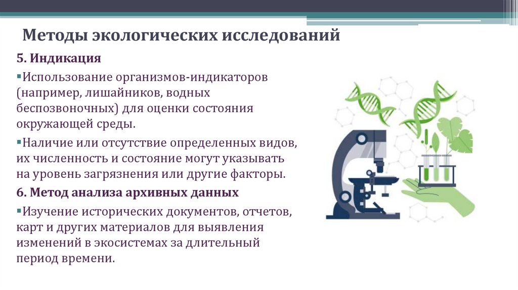 Методы экологических исследований