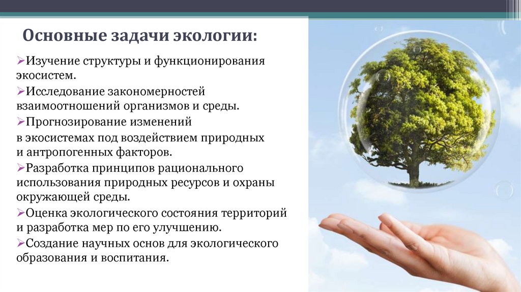 Основные задачи экологии:
