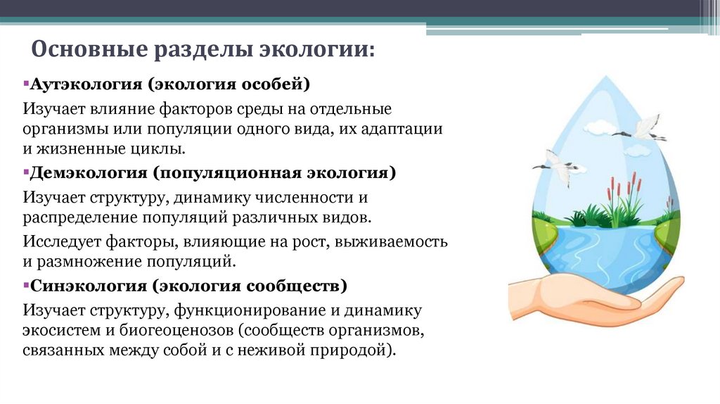 Основные разделы экологии: