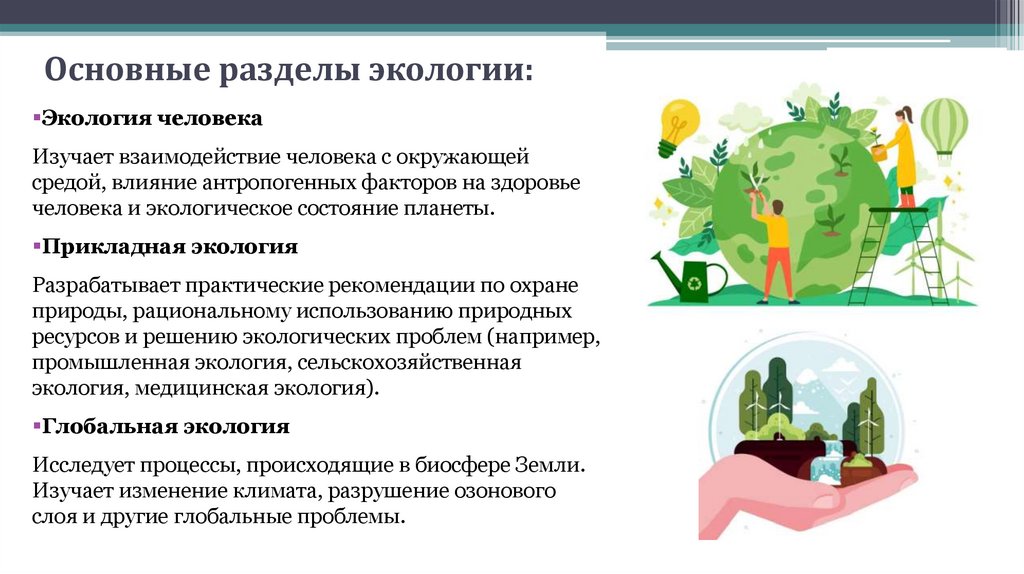 Основные разделы экологии: