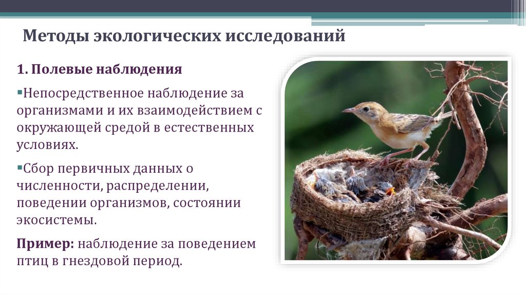 Методы экологических исследований