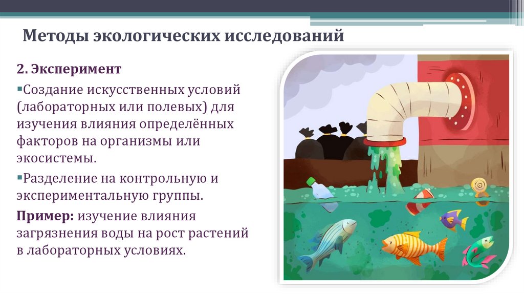 Методы экологических исследований