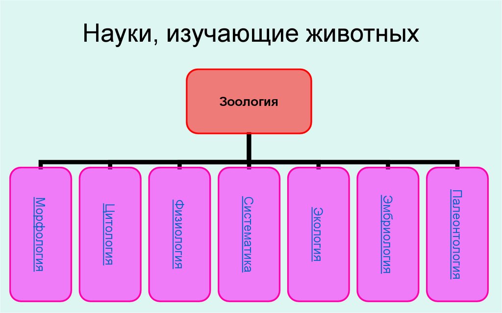Науки, изучающие животных