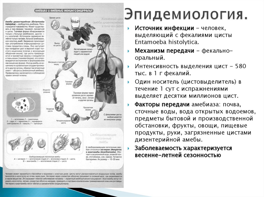Эпидемиология.