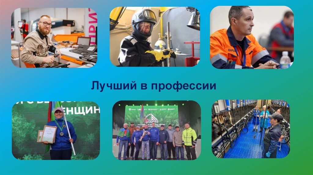 Лучший в профессии
