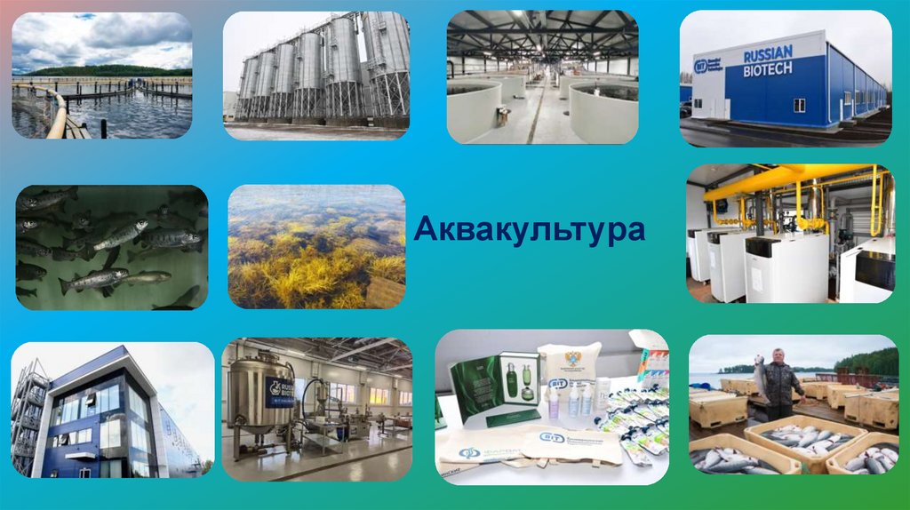 Аквакультура