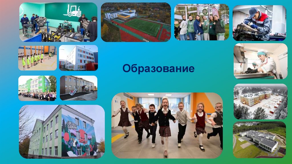 Образование