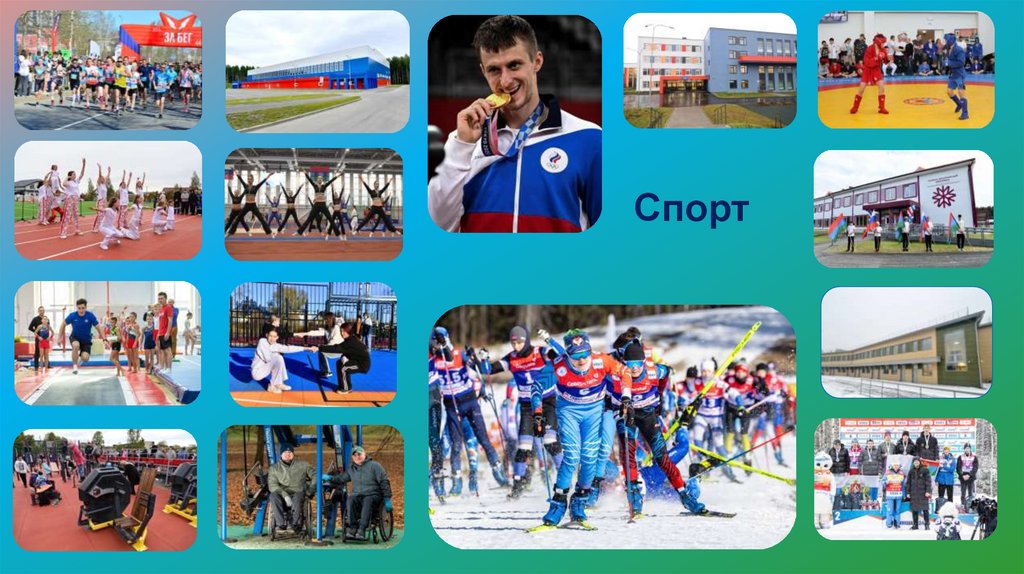 Спорт