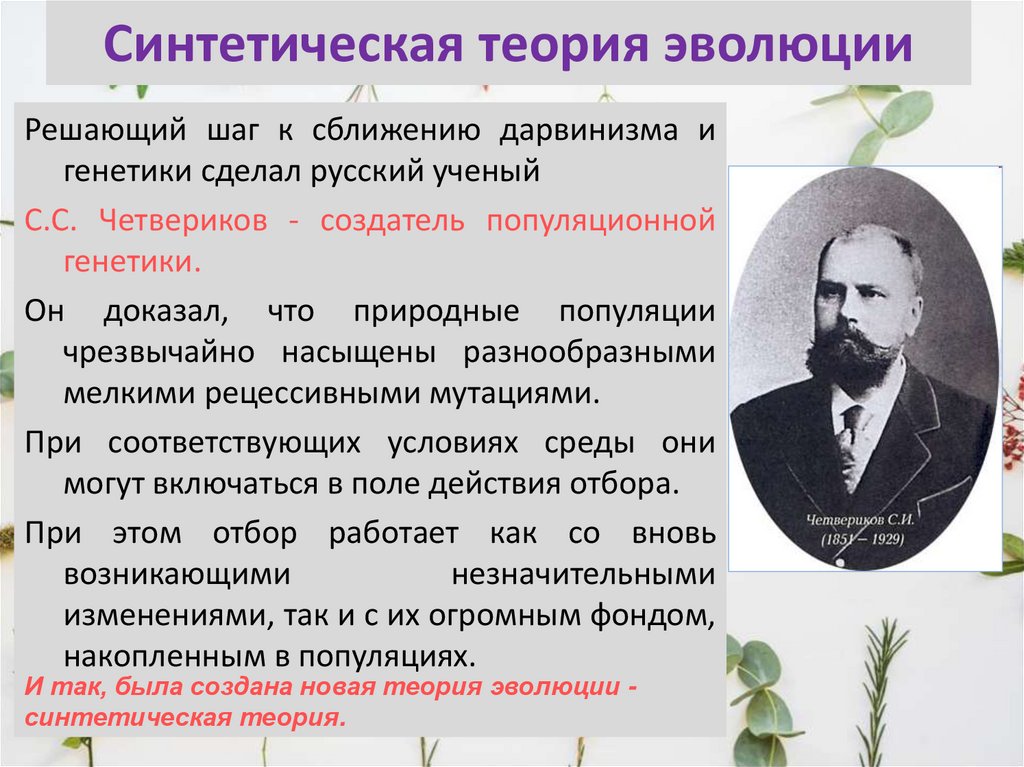 Синтетическая теория эволюции