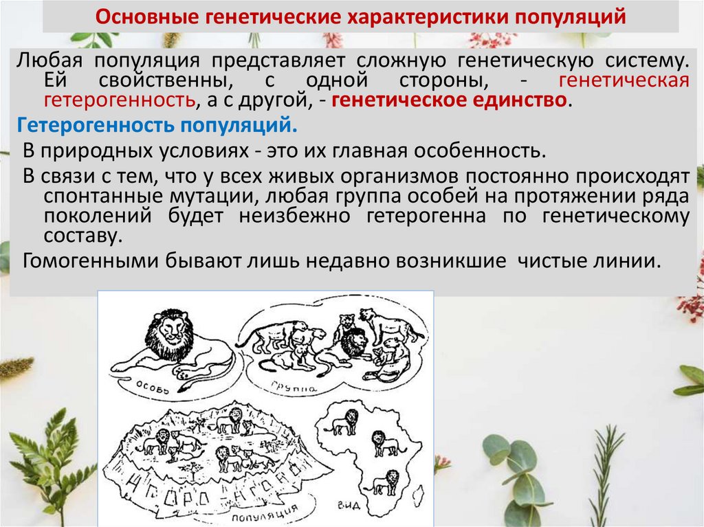 Основные генетические характеристики популяций