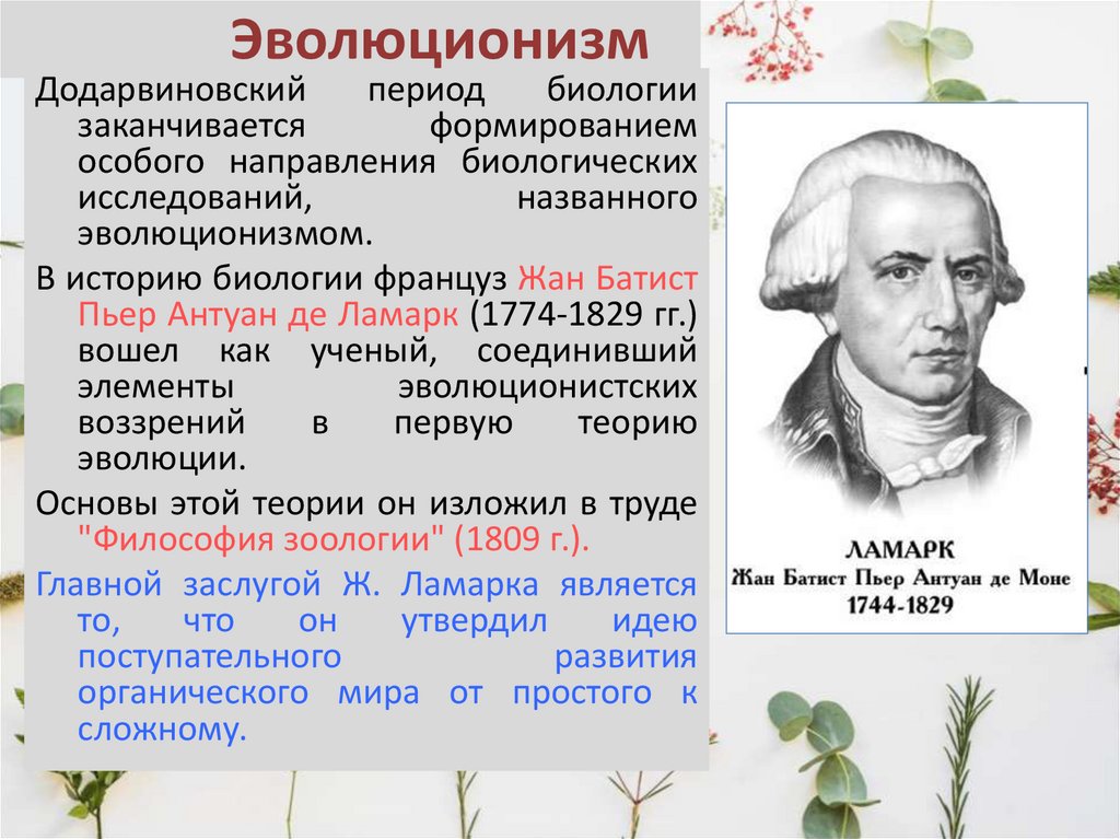 Эволюционизм