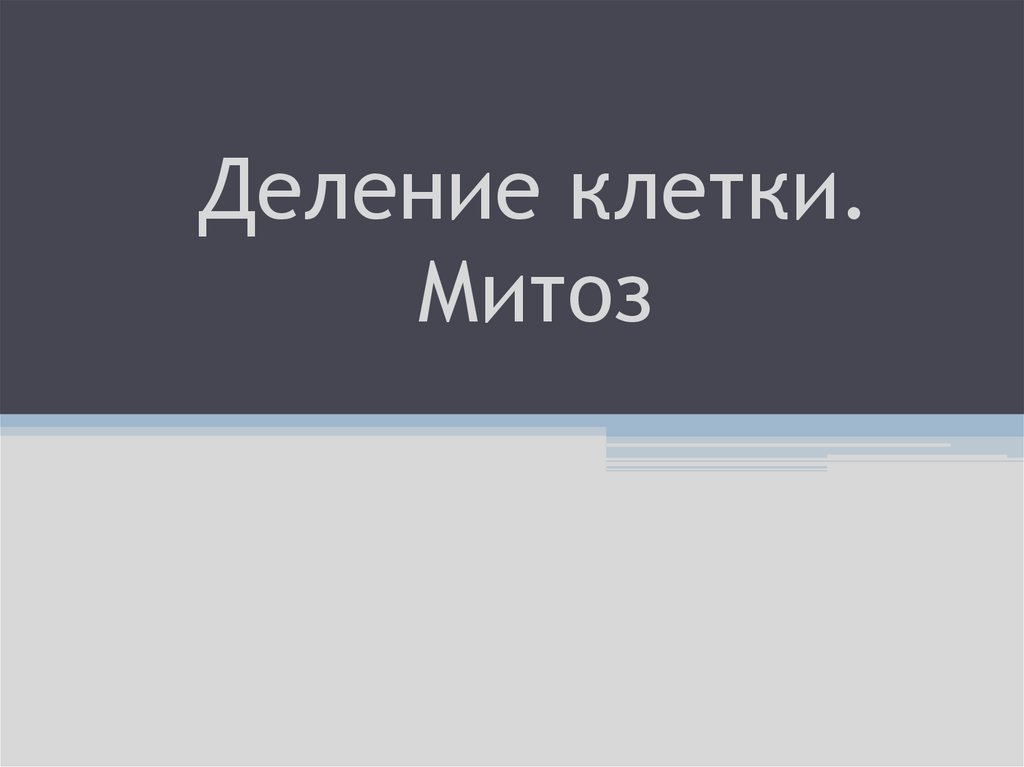 Деление клетки. Митоз