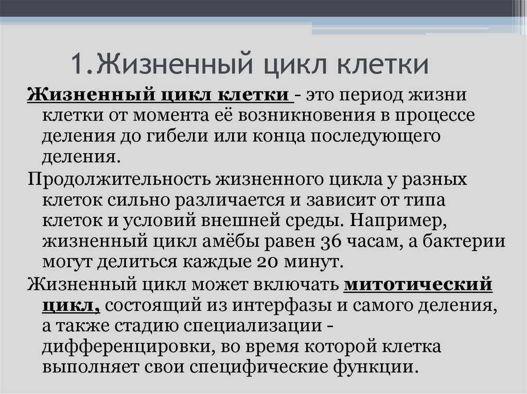 1.Жизненный цикл клетки