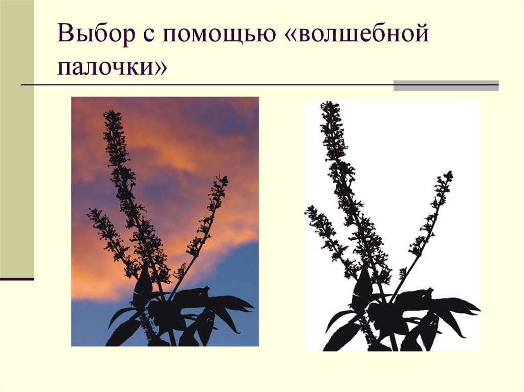 Выбор с помощью «волшебной палочки»