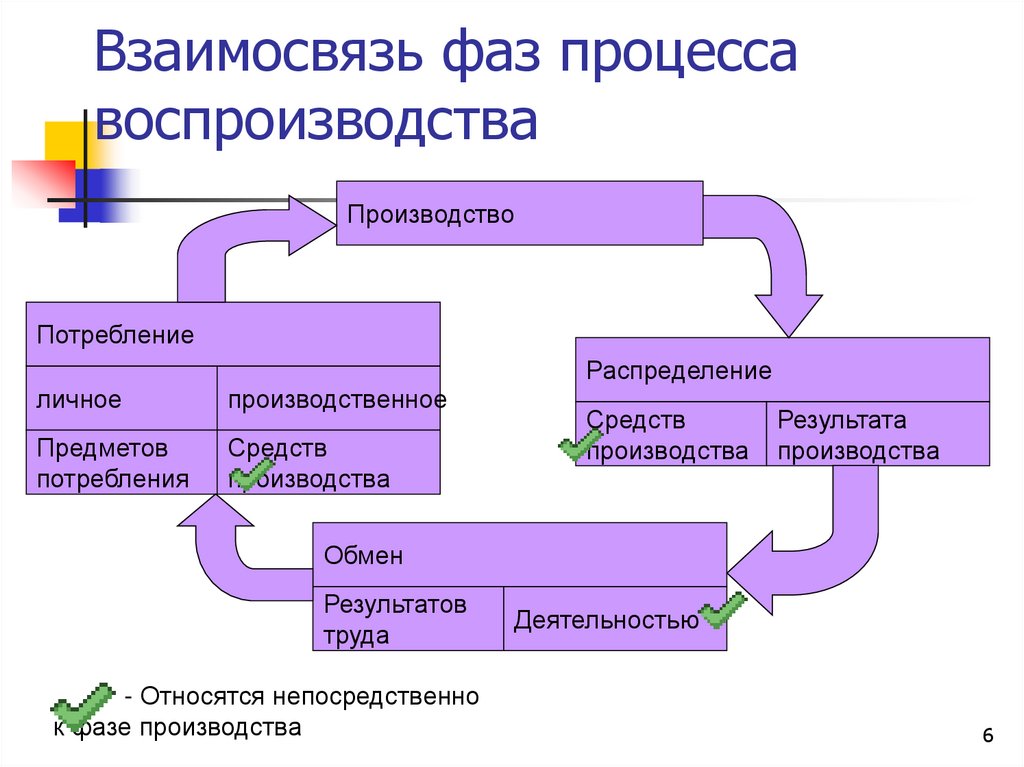 Взаимосвязь фаз процесса воспроизводства