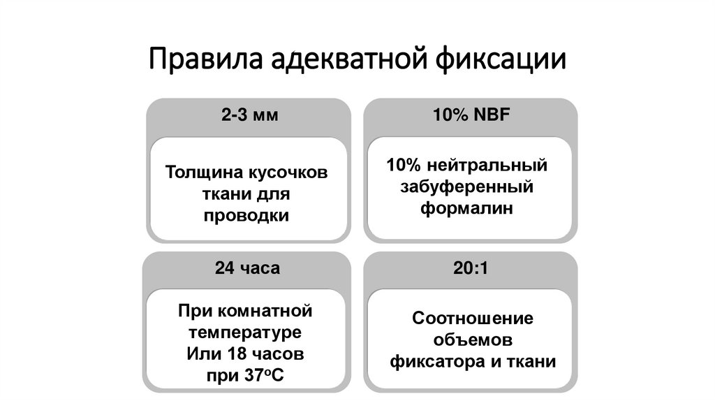 Правила адекватной фиксации