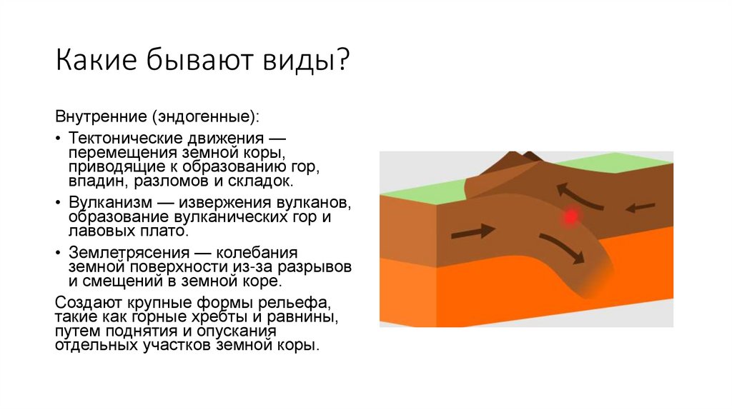 Какие бывают виды?