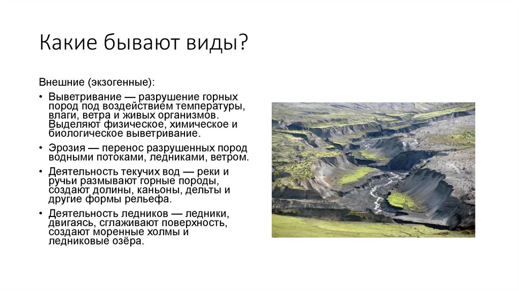 Какие бывают виды?