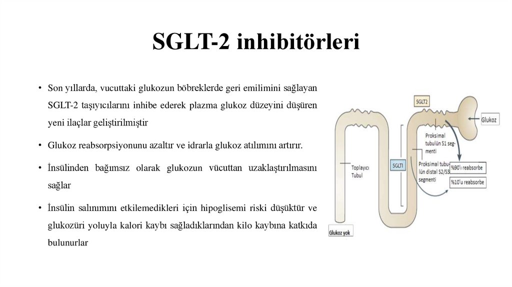 SGLT-2 inhibitörleri
