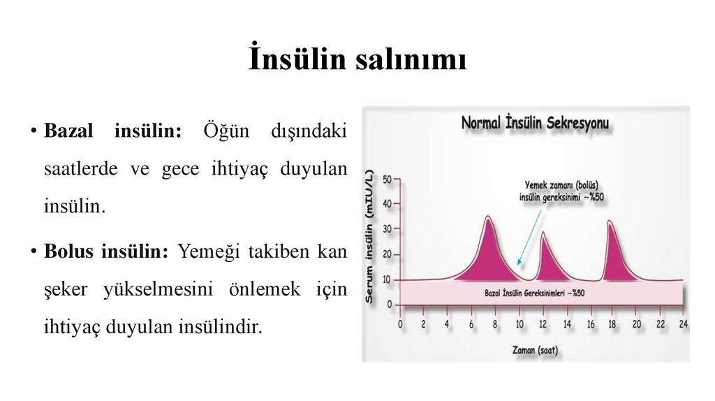 İnsülin salınımı