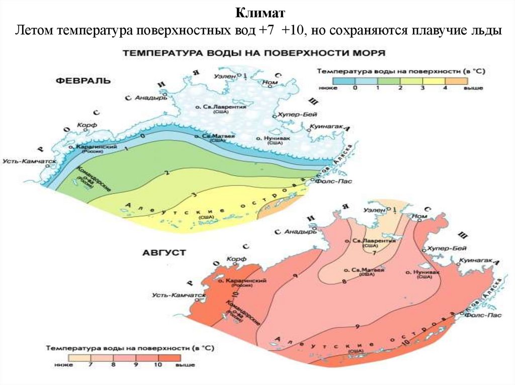 Климат Летом температура поверхностных вод +7 +10, но сохраняются плавучие льды