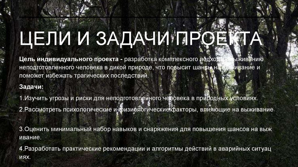 Цели и задачи проекта