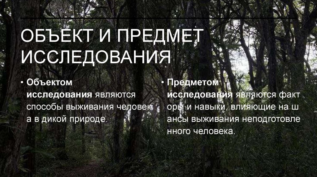 Объект и предмет исследования