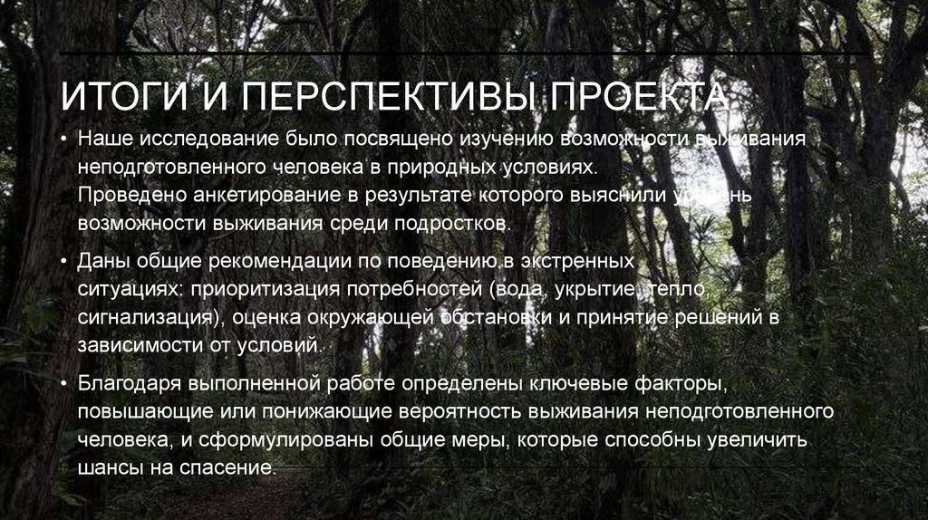 Итоги и перспективы проекта