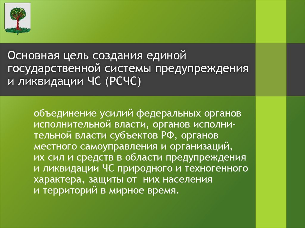 объединение усилий федеральных органов исполнительной власти, органов исполни- тельной власти субъектов РФ, органов местного