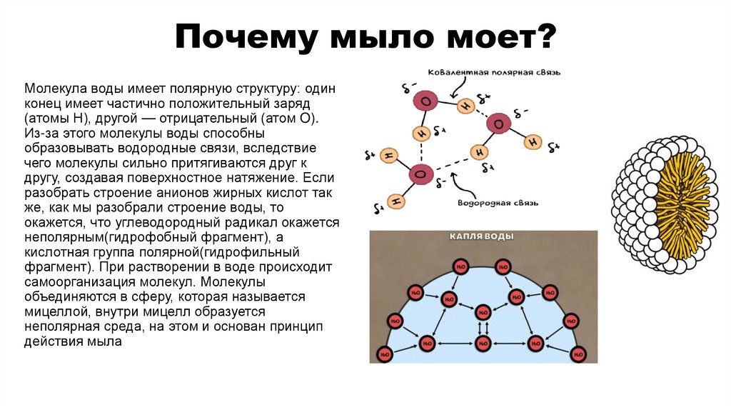 Почему мыло моет?