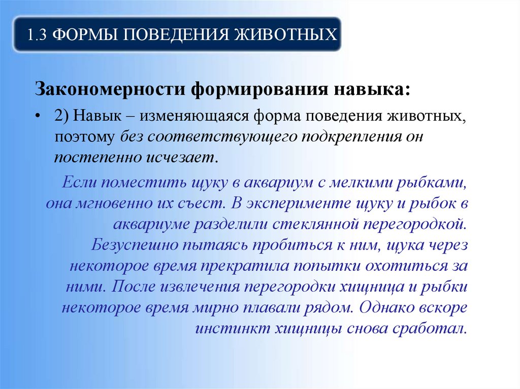 1.3 Формы поведения животных