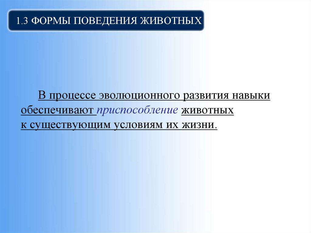 1.3 Формы поведения животных