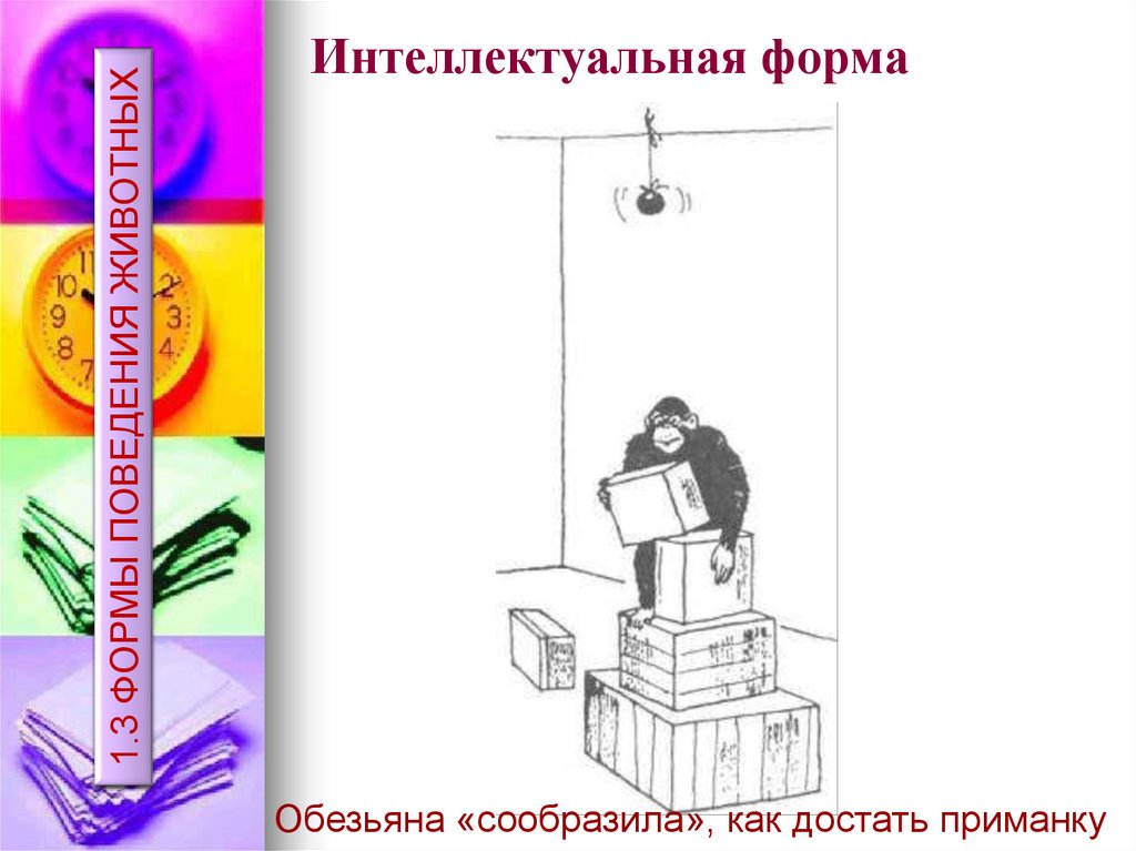 Интеллектуальная форма