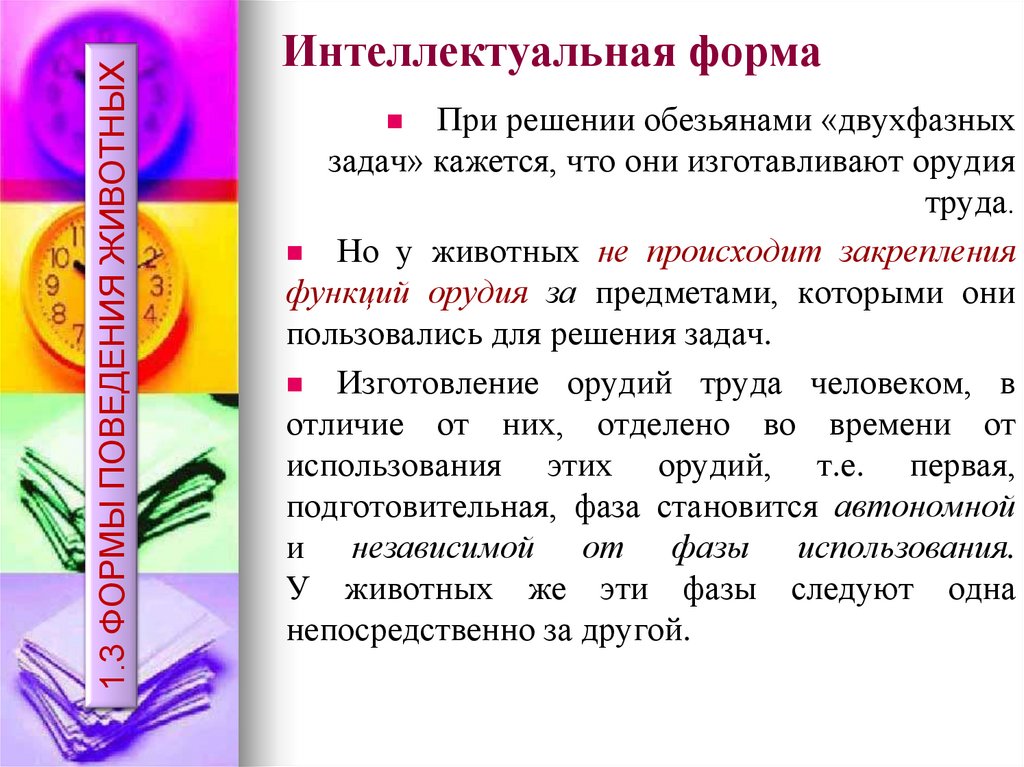 Интеллектуальная форма