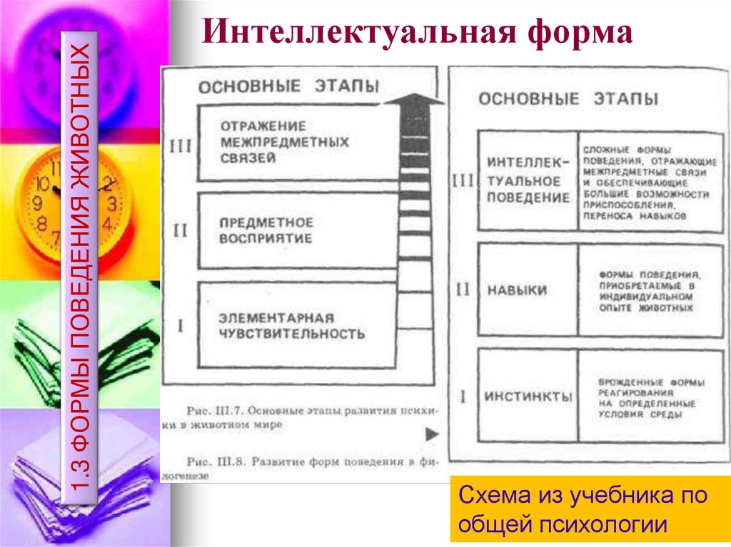 Интеллектуальная форма