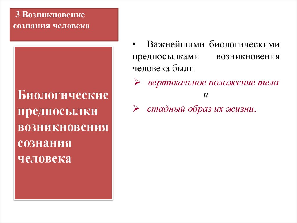 3 Возникновение сознания человека