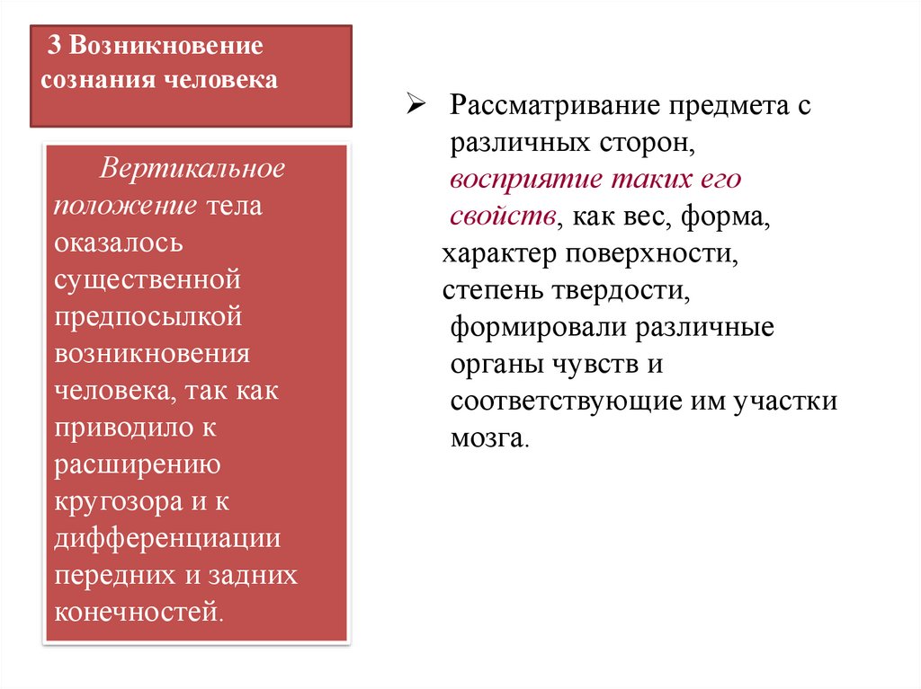 3 Возникновение сознания человека