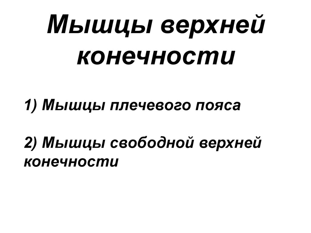 1) Мышцы плечевого пояса 2) Мышцы свободной верхней конечности