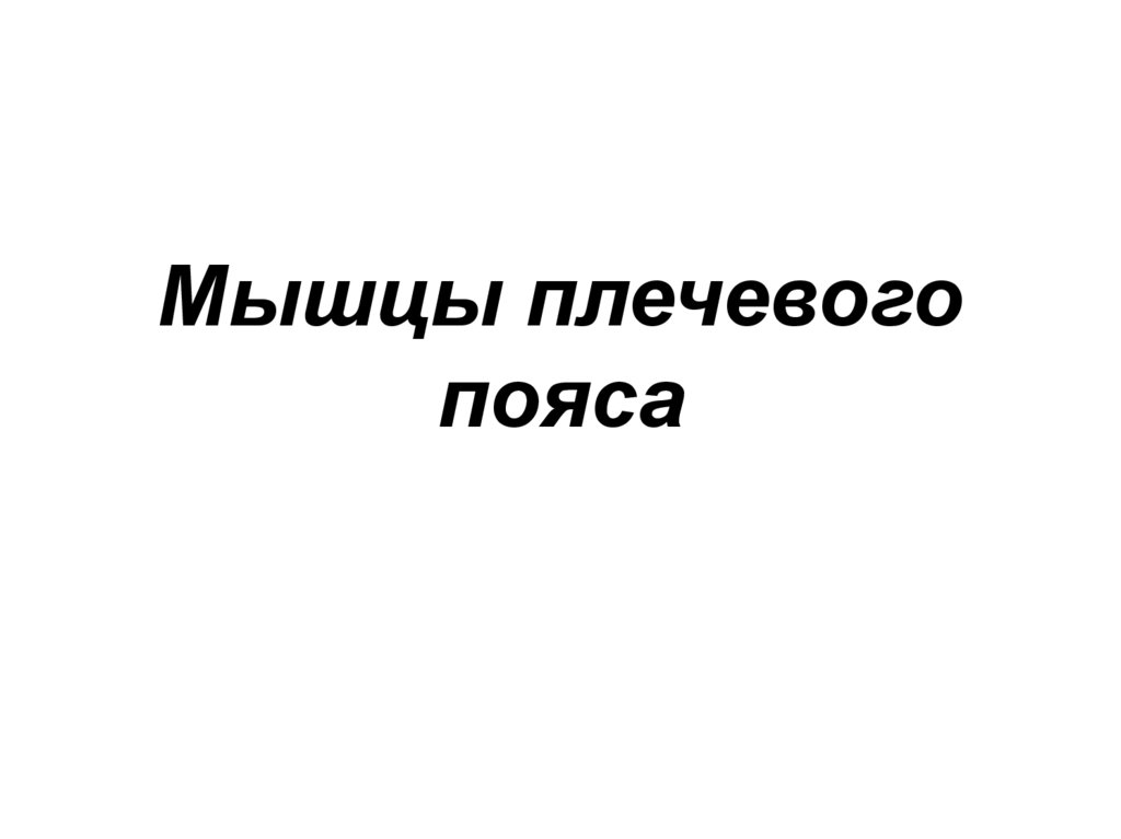 Мышцы плечевого пояса