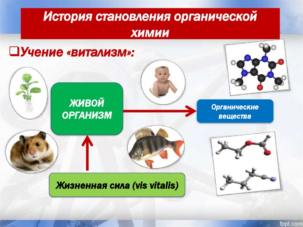 История становления органической химии