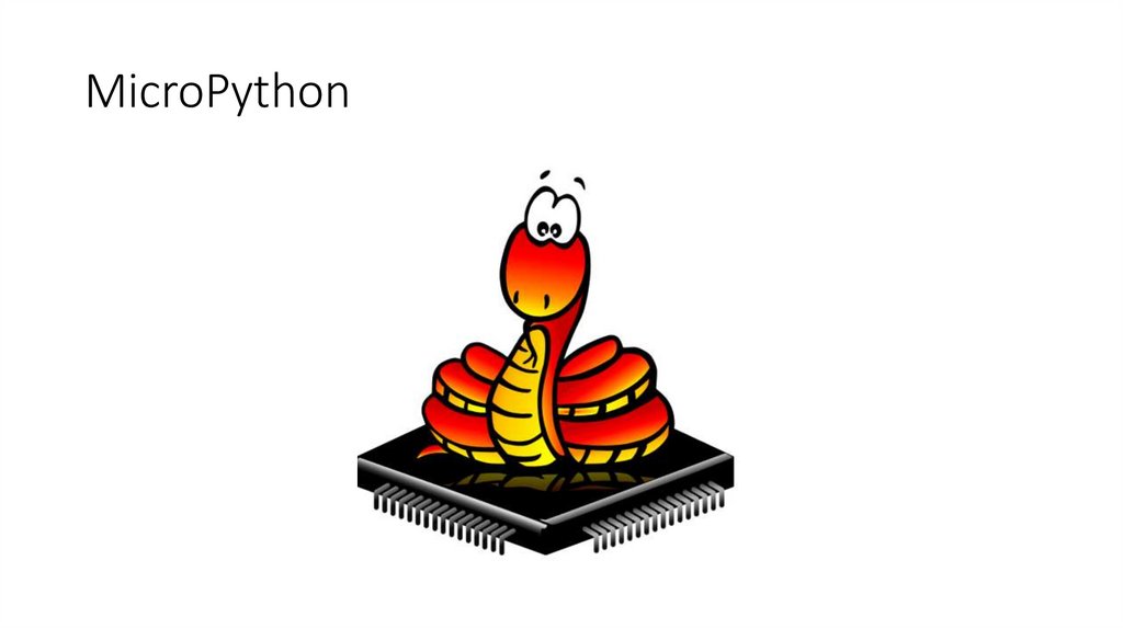 MicroPython