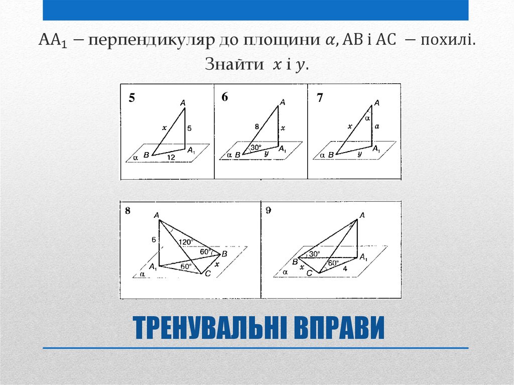 ТРЕНУВАЛЬНІ ВПРАВИ