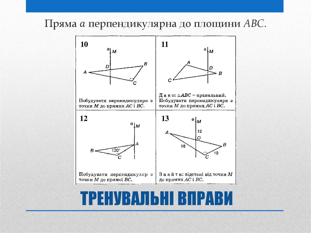 ТРЕНУВАЛЬНІ ВПРАВИ