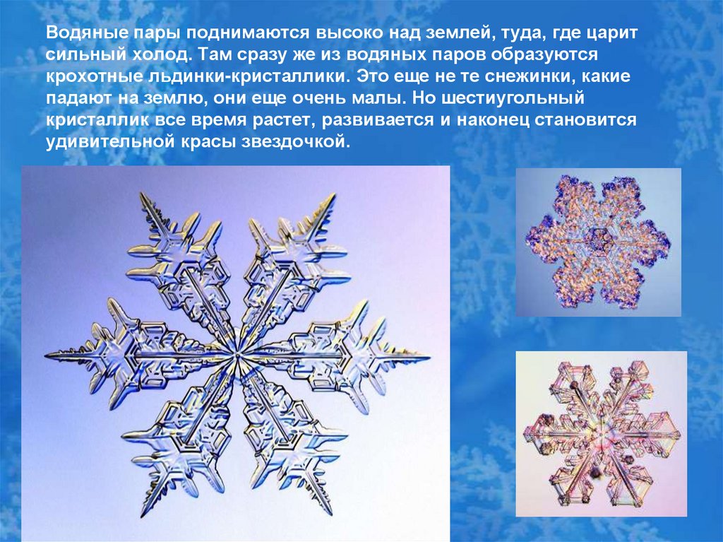 Водяные пары поднимаются высоко над землей, туда, где царит сильный холод. Там сразу же из водяных паров образуются крохотные