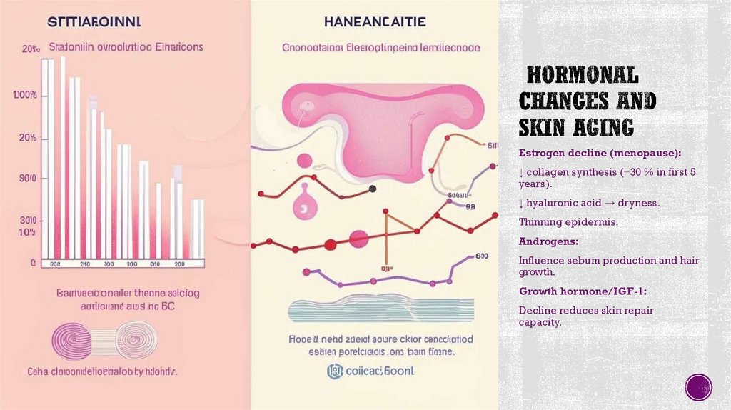Hormonal Changes and Skin Aging