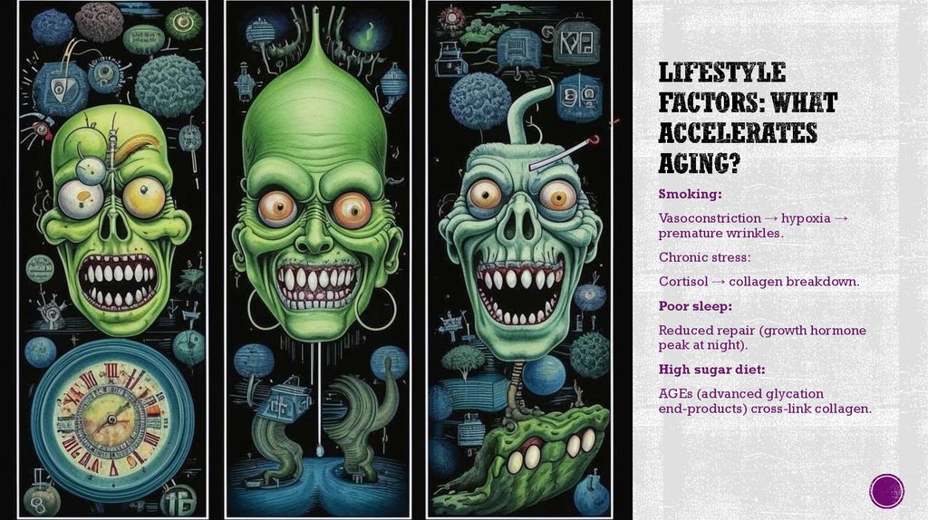 Lifestyle Factors: What Accelerates Aging?