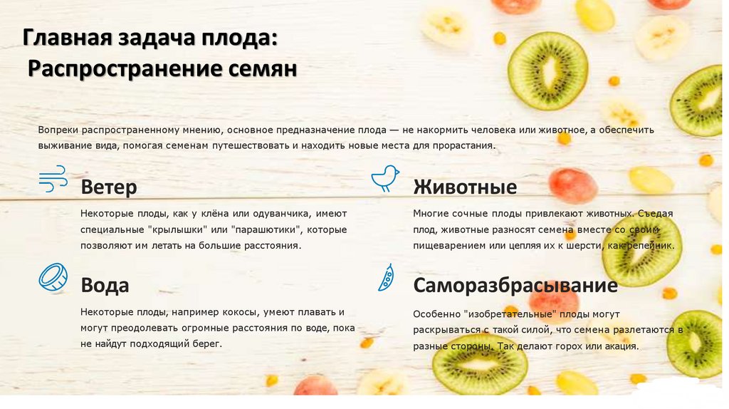 Главная задача плода: Распространение семян