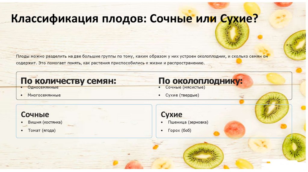 Классификация плодов: Сочные или Сухие?