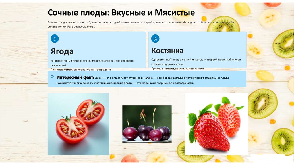 Сочные плоды: Вкусные и Мясистые